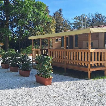 Mobile Home Viareggio - Including Airco- Camping Paradiso - G008 Eksteriør billede