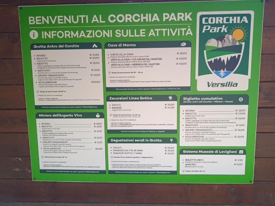 Mobile Home Viareggio - Including Airco- Camping Paradiso - G008 Eksteriør billede