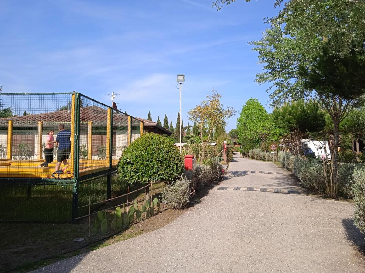 Mobile Home Viareggio - Including Airco- Camping Paradiso - G008 Eksteriør billede